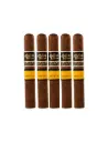 Aging Room | Quattro Nicaragua Sonata - Espressivo