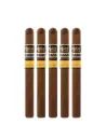 Aging Room | Quattro Nicaragua Sonata - Concerto