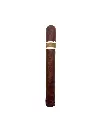 romacraft-cromagnon-aquitaine-anthropology-single.webp