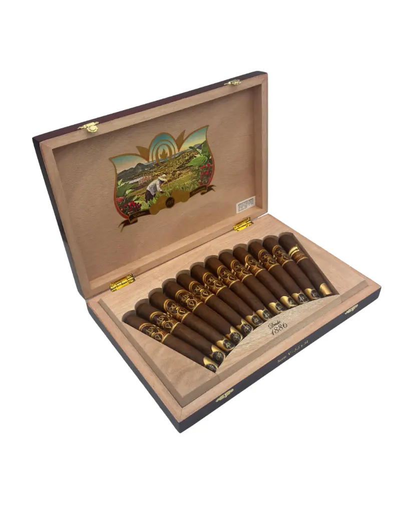 oliva-serie-v-135-aniversario-toro-box-angle-open.webp