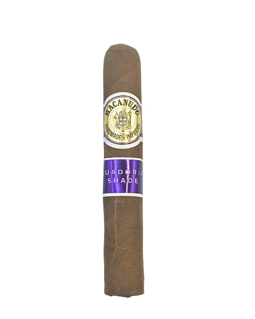 macanudo-ecuadorian-shade-robusto-single-cigar.webp