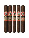 joya-de-nicaragua-antano-gran-reserva-robusto-grande-5-pack-front.webp
