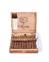 padron-anniversary-torpedo-natural-box-pressed.webp