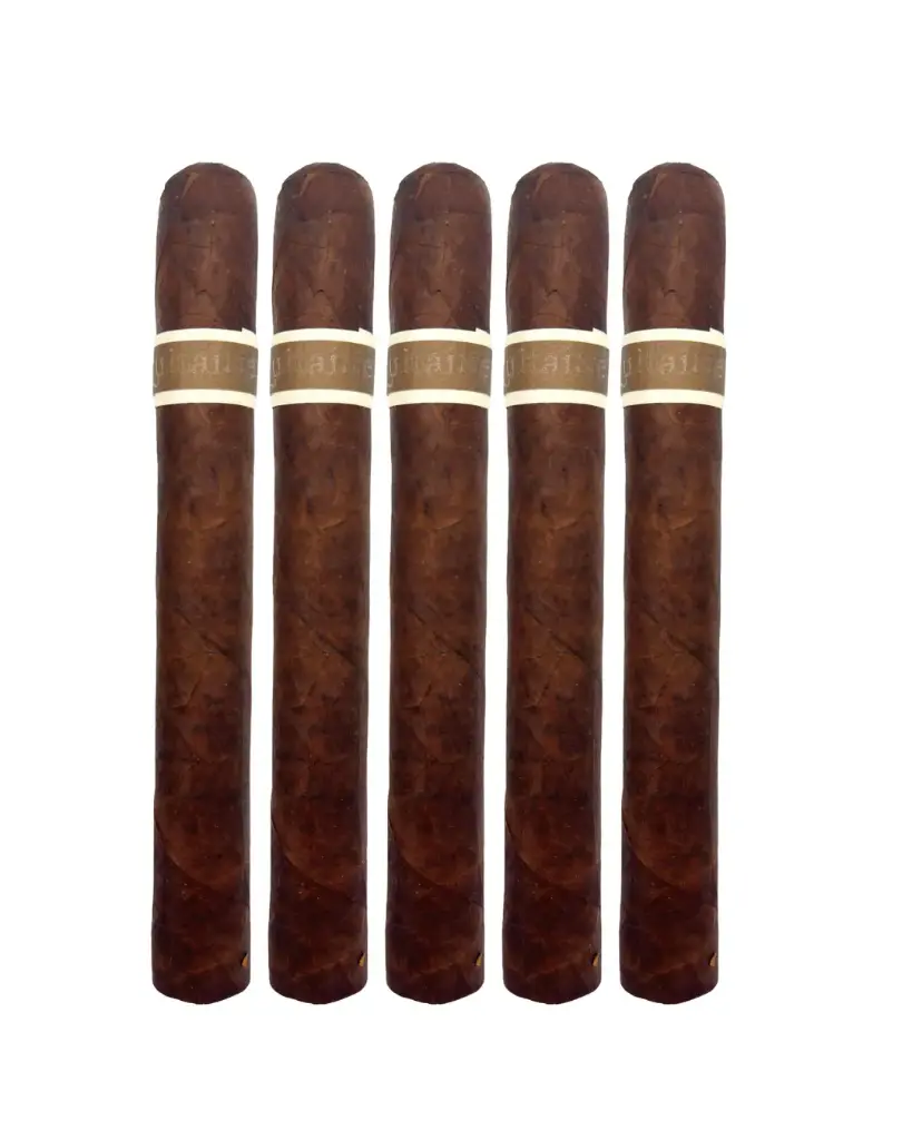 ROMA CRAFT CroMagnon Aquitaine Anthropology