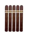 ROMA CRAFT CroMagnon Aquitaine Anthropology