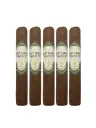 West Tampa White - Robusto