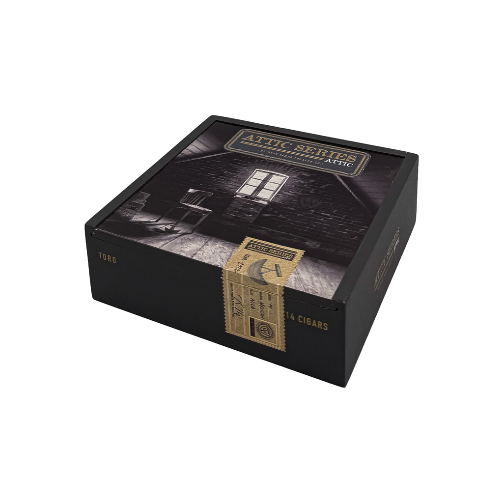 West Tampa Attic - Toro