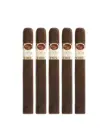 PADRON | 50th Mix NAT MAD