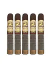 La Aurora Family Creed Fuerte Sol Robusto