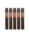 Cohiba Rubicon Gigante