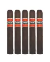 Cohiba Rubicon Toro