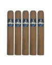 Alec Bradley DO NOT DISTURB - Gordo
