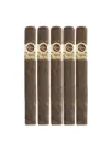 PADRON 1964 President Maduro