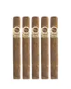 PADRON 1964 President Natural