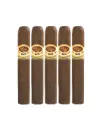 PADRON 1926 No. 6 Natural