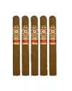 Perdomo 30th Connecticut Churchill 