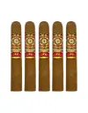 Perdomo 30th Connecticut Gordo 