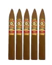 Perdomo 30th Anniversary Torpedo Connecticut