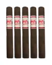 CAO Flathead Speed Shop Habano V654