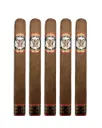 Cigar Porn by Rocky Patel Toro