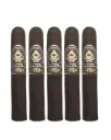 El Titan de Bronze Robusto
