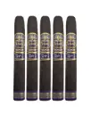 Casa Carillo Pledge Purple Toro