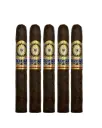 Perdomo Legacy Maduro Epicure