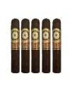 Perdomo Legacy Robusto Sun Grown