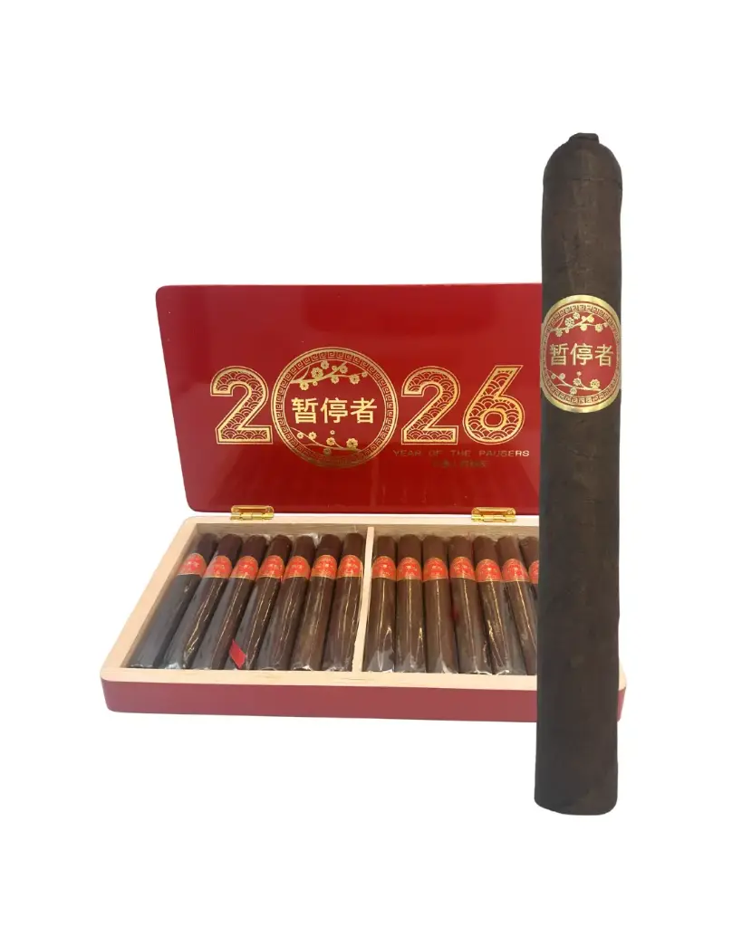 DTT Year of the Pausers