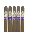 Macanudo Montego Y Cia Ecuadorian Shade Gigante