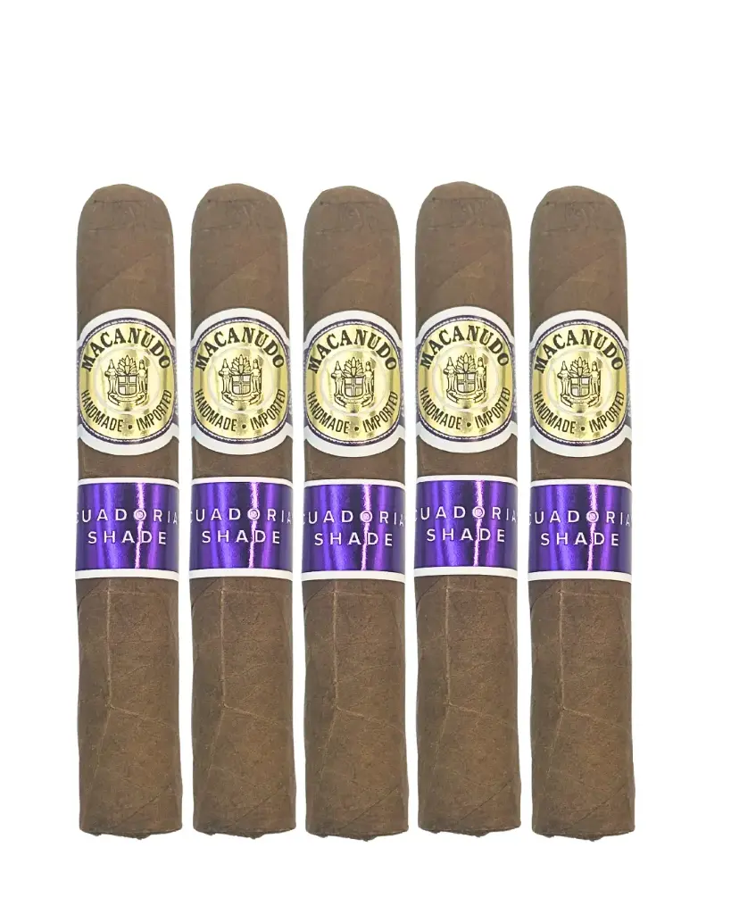 Macanudo Montego Y Cia Ecuadorian Shade Robusto