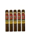 Partagas Y Nada Mas Cibao Gordo