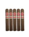HVC Cerro Robusto Gordo