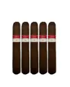 Tatuaje Havana VI Series E