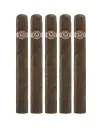Padron 4000 Maduro