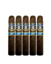 Quesada Oktoberfest-Uber