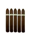 Illusione 2 - Belicoso 