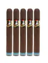 Deadwood Tobacco Co. - Fat Bottom Betty Toro