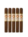 Joya De Nicaragua Cinco Decadas Fundador Limited Edition