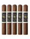 Joya De Nicaragua Cuatro Cinco Petit Corona