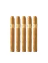 Romeo Y Julieta | 1875 - Romeo's Court