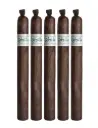 Liga Privada Unico Ratzilla