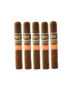 Aging Room | Quattro Nicaragua - Espressivo