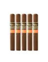 Aging Room | Quattro Nicaragua - Vibrato