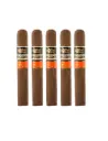 Aging Room | Quattro Nicaragua Grande