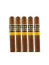 Aging Room | Quattro Nicaragua Sonata - Grande