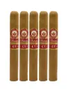 Joya De Nicaragua Antano CT Toro 