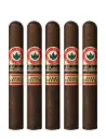 Joya De Nicaragua Antano Gran Reserva GT20 