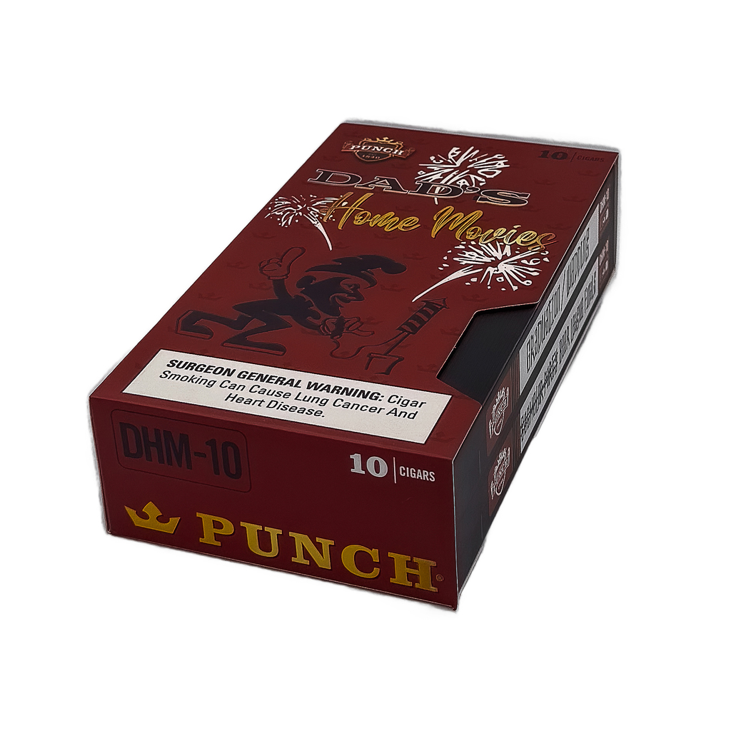 Punch Dad's Home Movies | Toro