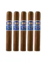 Romeo Y Julieta | Reserva Real Nicaragua - Magnum